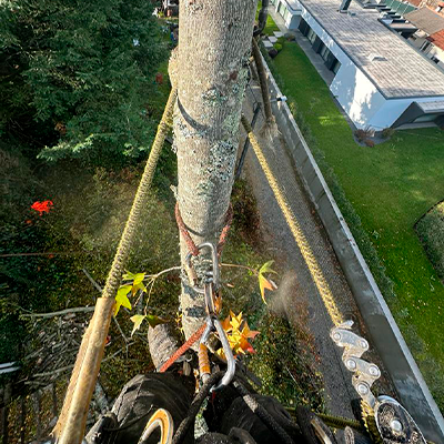 Avaliação e Diagnóstico